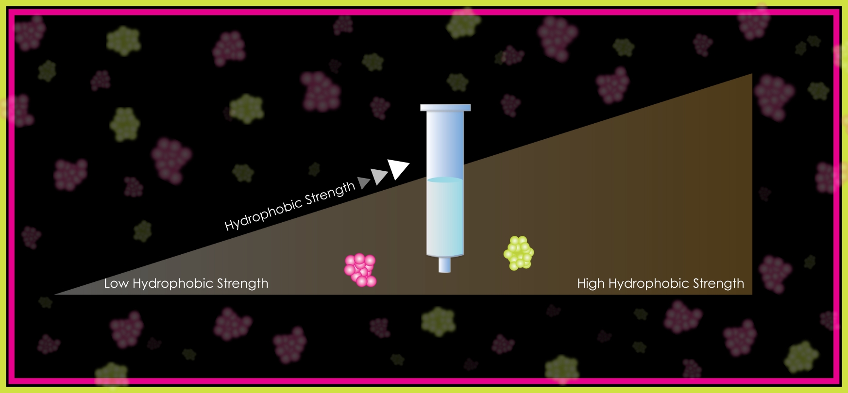 Image for featured article